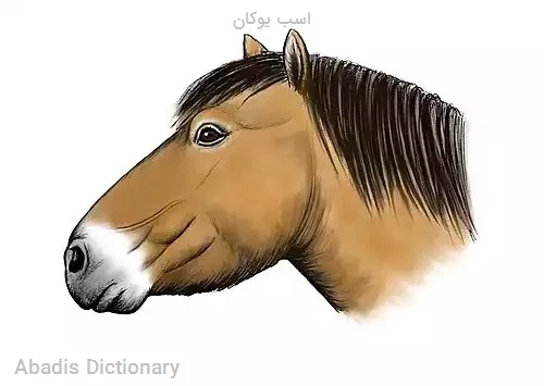 اسب یوکان